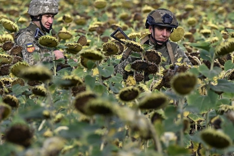 ukraine-crisis-pokrovsk Two men in military gear walk in a sunflower field