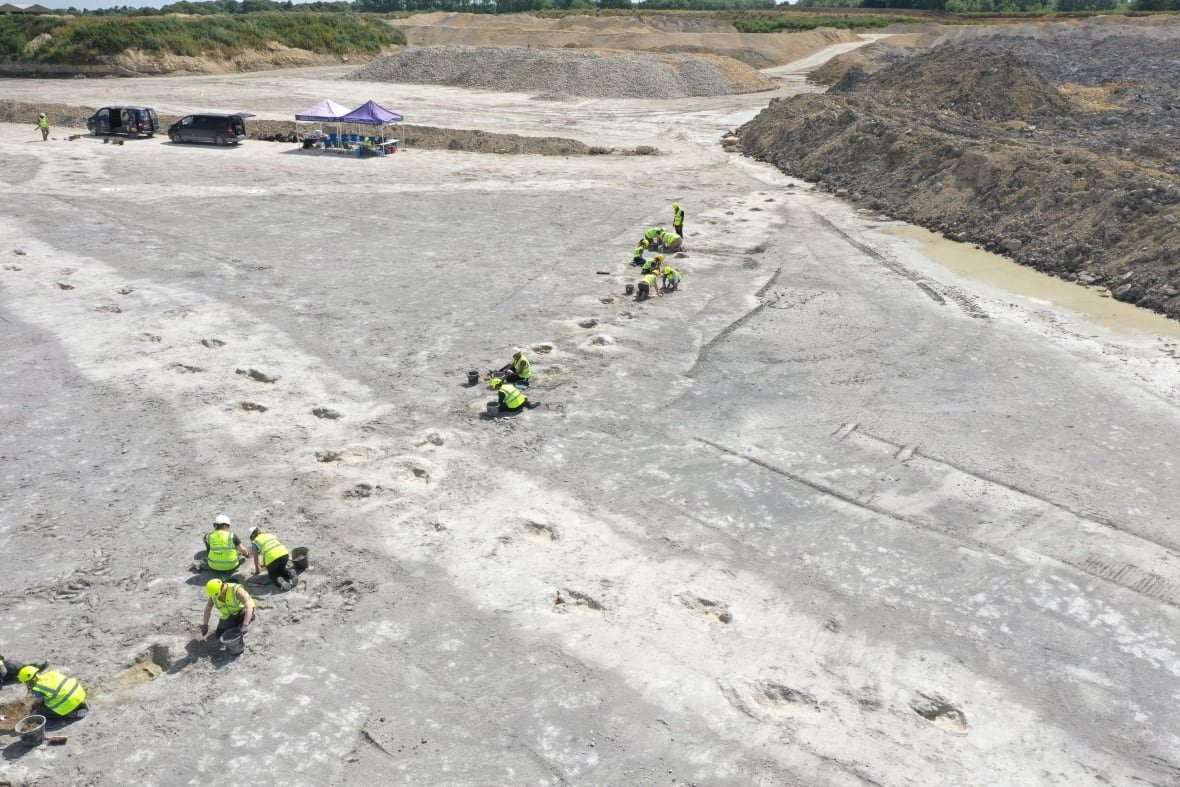 excavation Aerial view of people in high-vis vests crouched over two intersecting sets of dinosaur tracks