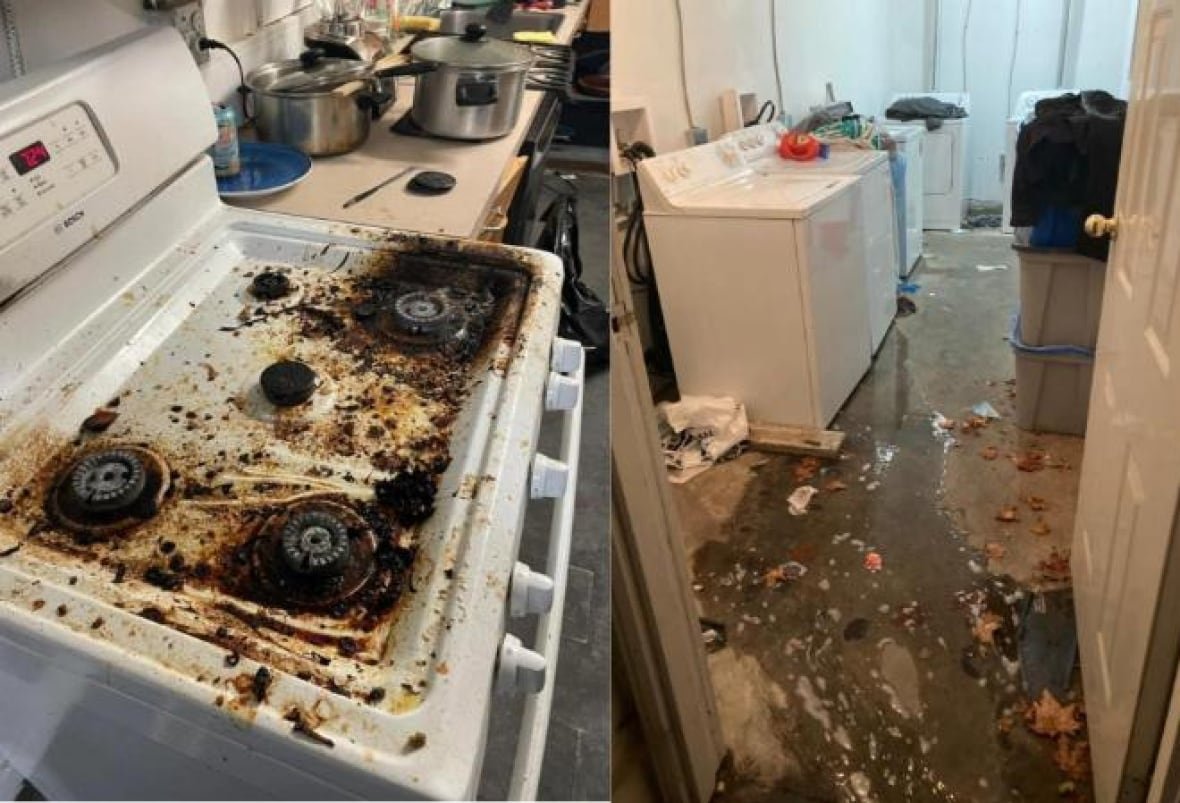 oven-and-washer A composite image of a very dirty stovetop and a leaking washing machine is shown.
