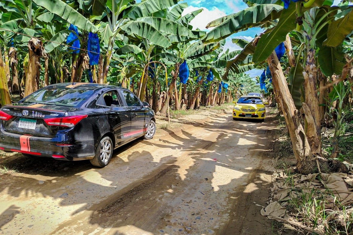chiquita-1 Vehicles drive through banana plantations