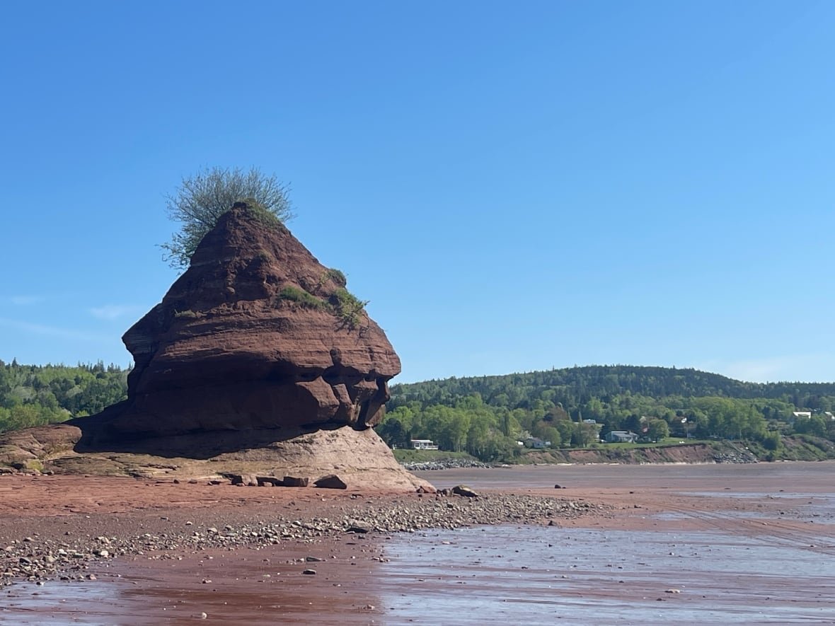 flowerpot-rock flowerpot rock