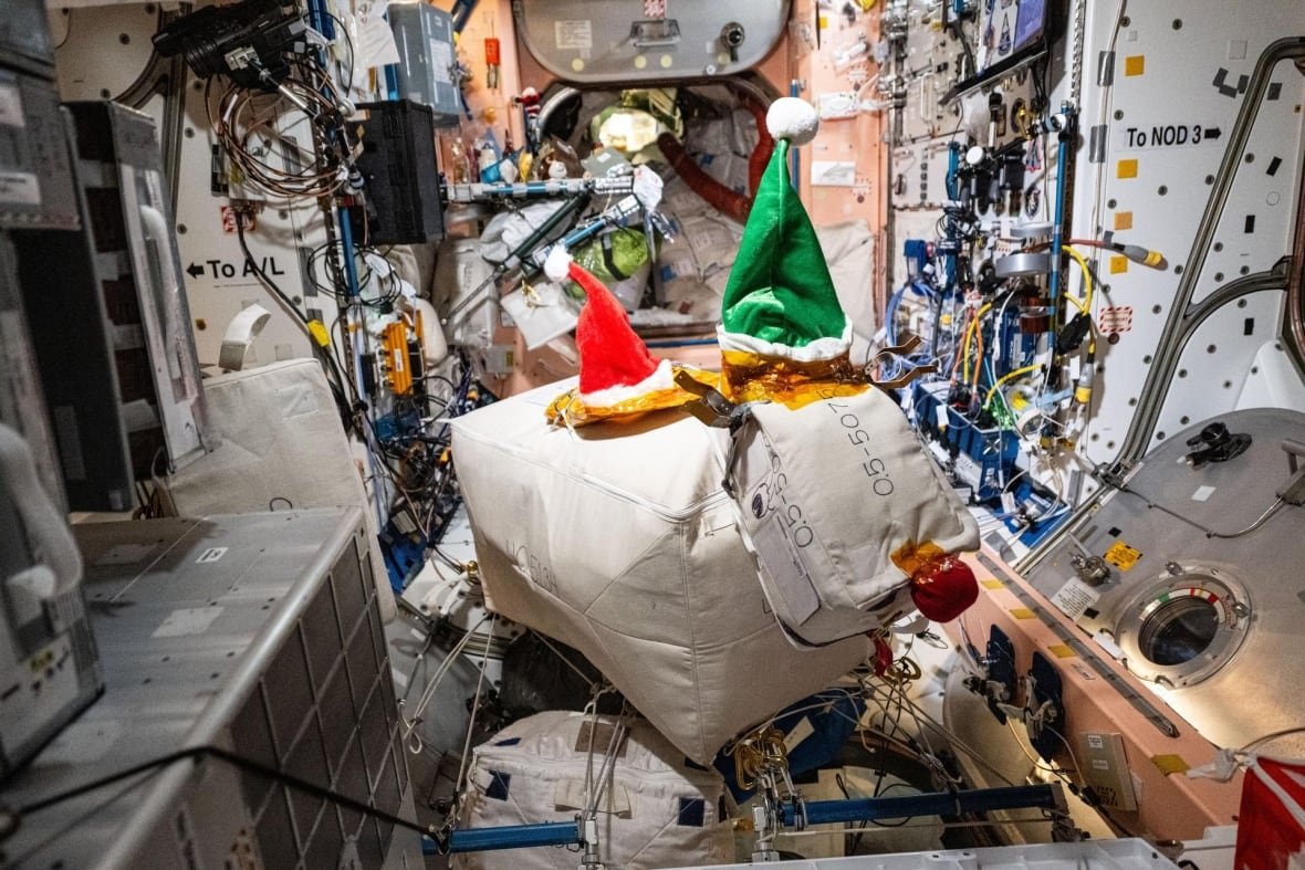 iss-reindeer-williams-wilmore White cargo bags are adorned with Santa hats and a red nose on board the International Space Station.