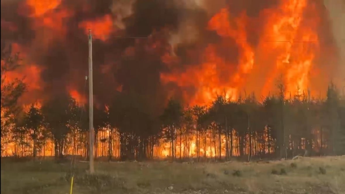 wanless-fire-manitoba-we23-1 Flames and black smoke rise into the sky behind a row of trees, with a hydro pole in front of them.