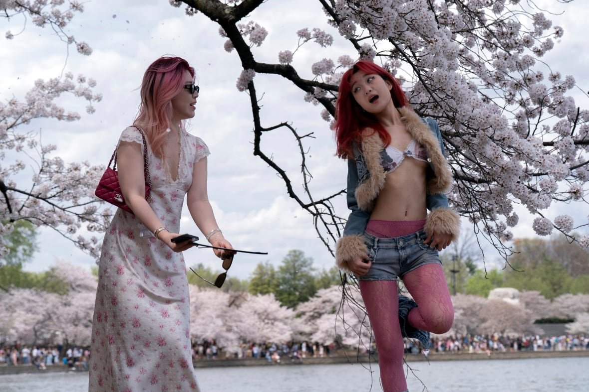 Two female visitors take pictures along the Tidal Basin with cherry trees entering peak bloom this week in Washington, D.C.