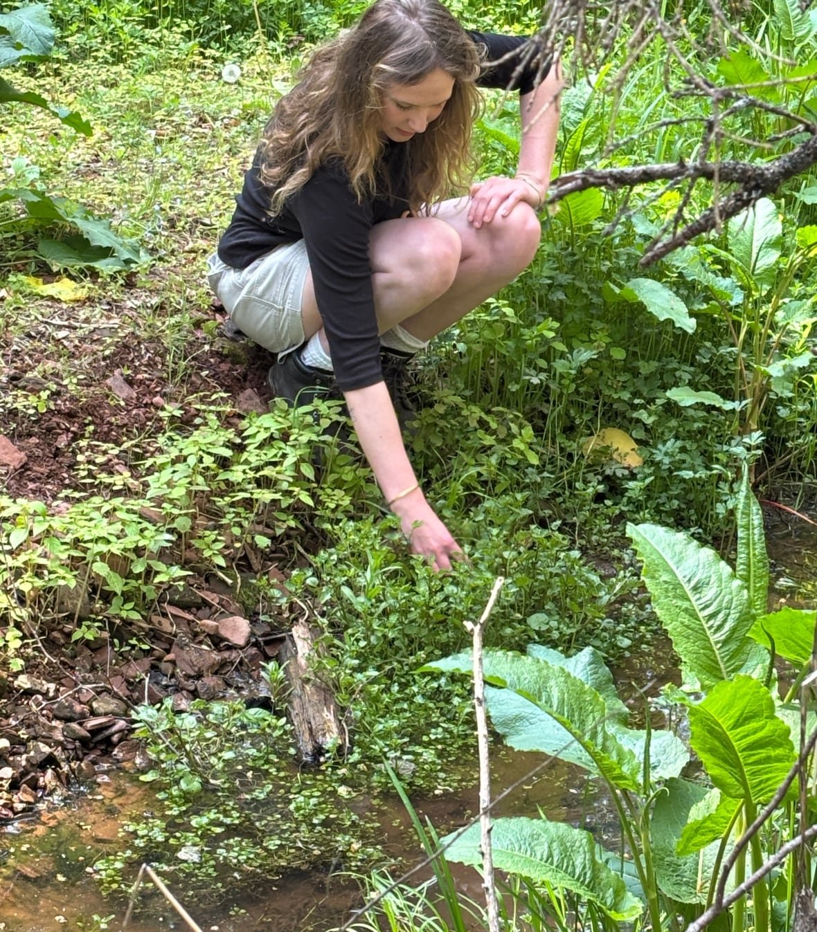 watercress-3-jpg A woman crouches by a small stream in a green forest, reaching towards plants growing along the water’s edge
