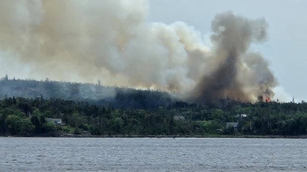 Some evacuees heading home as forest fire on Eastern Shore slows