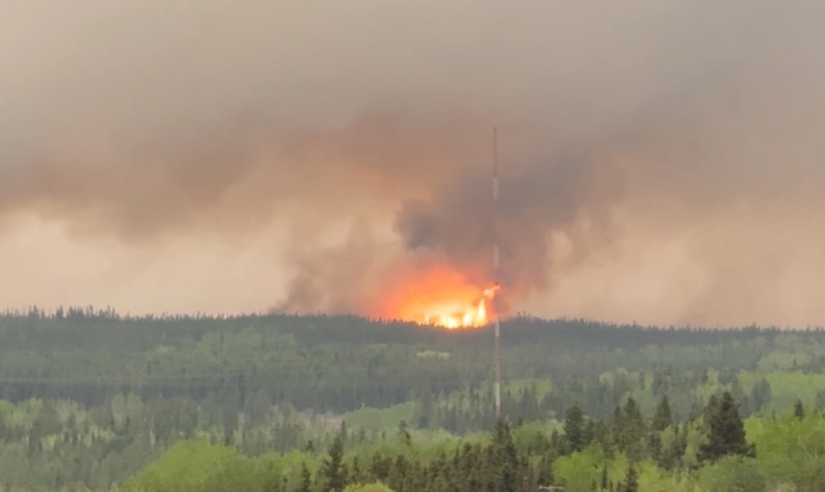 Smoke rising into the sky with a forest fire in the distance.