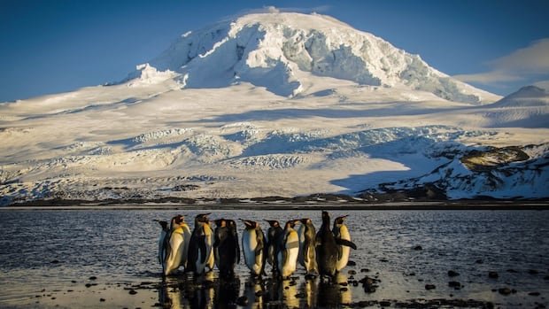 ‘Tariff the seagulls?’ These are the remote islands on Trump’s tariff list, and what they export
