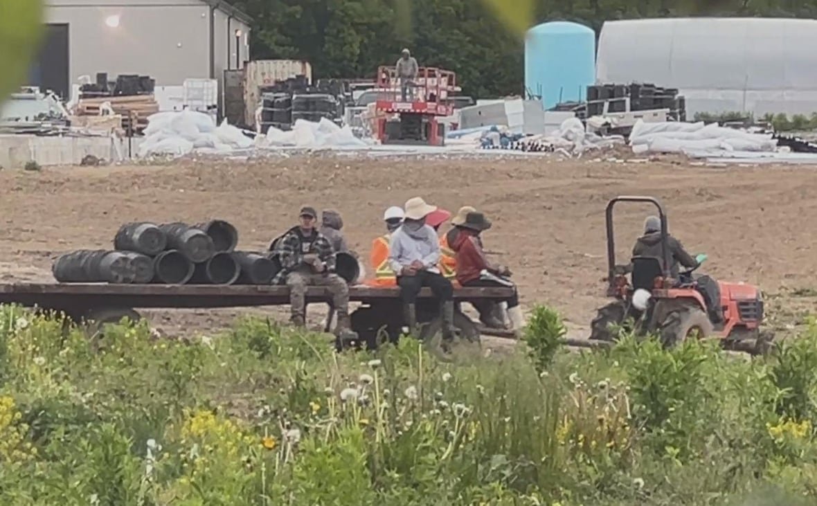 workers-grow-op A group of men sit on a flatbed trailer pulled by a tractor.