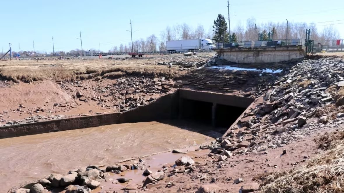 emo-minister-can-not-say-if-emergency-order-will-be-lifted-in-windsor-area-image-3 A causeway gate underneath a highway