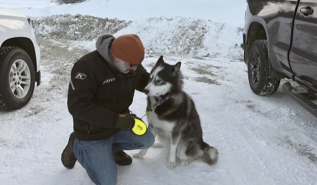 A person stressed for winter weather kneels down next to black and white siberian husky over snow-packed ground.