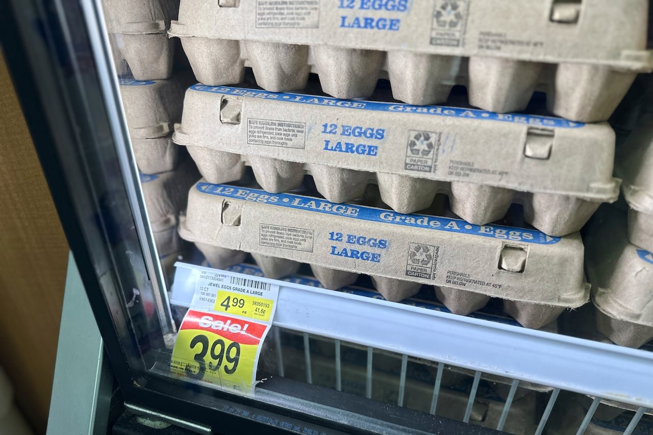 default-147 Cartons of a dozen eggs are seen in a fridge above a price tag marked 'Sale $3.99.'