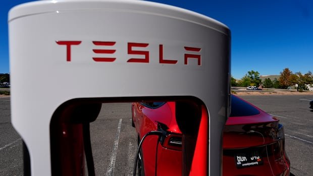 “Canada Imports 2,900 Chinese Electric Vehicles, Tariff Deal Struck”