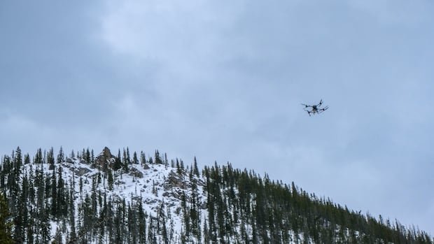 “Canadian Company Tests Drones for Avalanche Control”