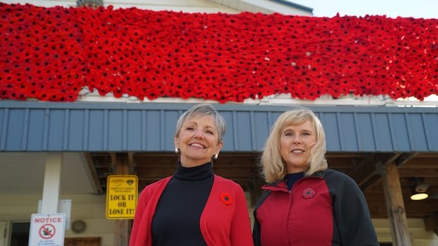 “Port Stanley Blooms with 15,555 Knitted Poppies”