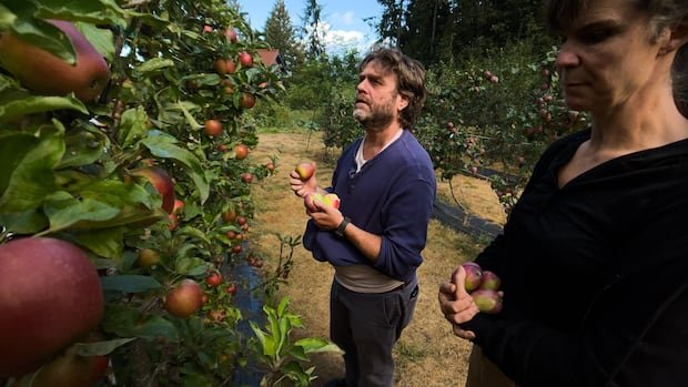 “Zach Galifianakis debuts gardening series on Netflix”